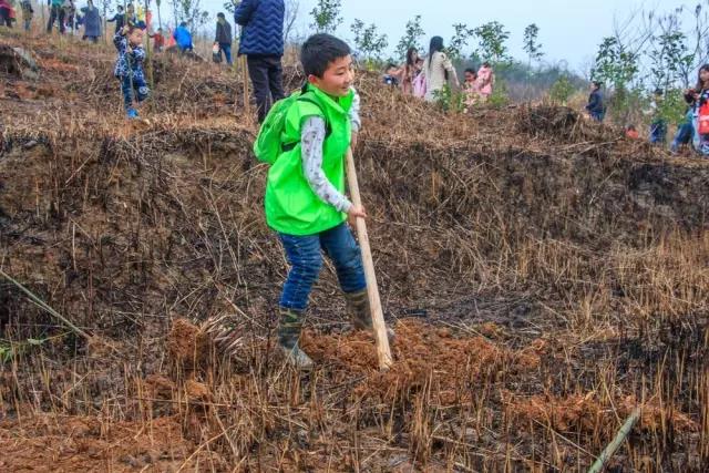 建設(shè)生態(tài)邵陽(yáng)城，天嬌集團(tuán)在行動(dòng)