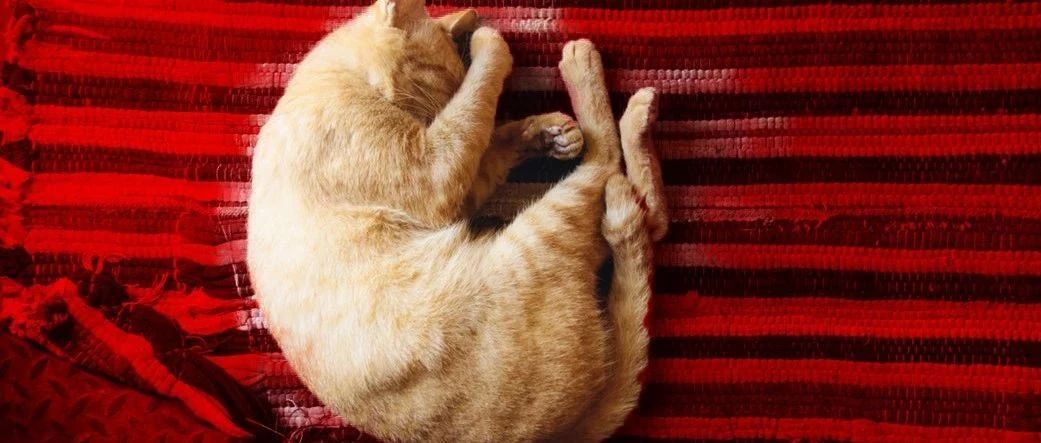 人類發(fā)展的動力，除了懶，還有對舒適的追求