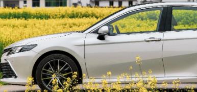 丨廣汽豐田天嬌寶慶店丨全新凱美瑞智能陪伴，將帶你馭見絕美婺源