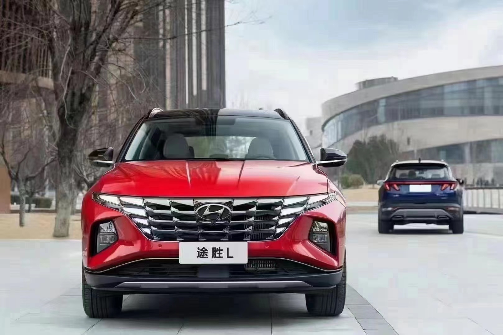 如何呵護(hù)家人，看這兒！